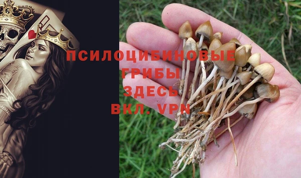 мяу мяу мука Абдулино