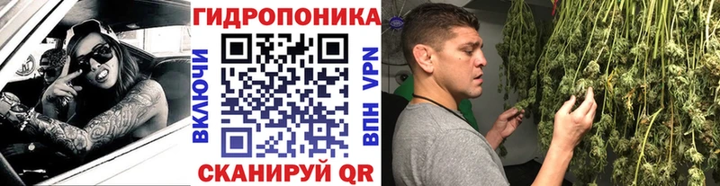 сколько стоит ОМГ ОМГ вход Шишки марихуана планчик Полтавская